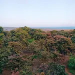 Hacienda La Extremena * Güimar