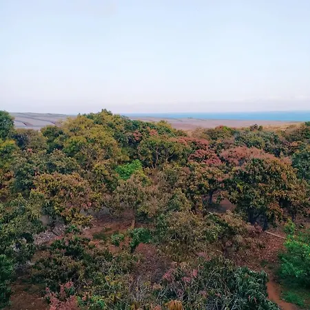 Hacienda La Extremena * Güimar