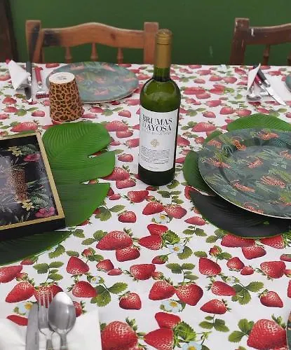 Hacienda La Extremena 公寓