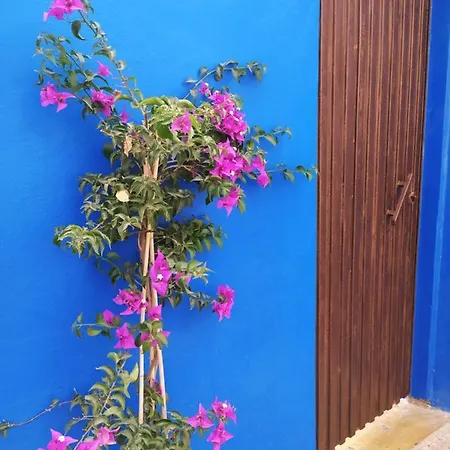 Apartamento Hacienda La Extremeña Güímar