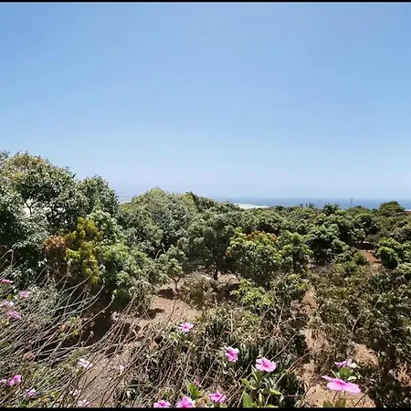 Hacienda La Extremena *