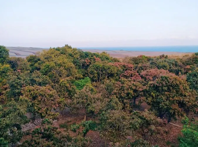 Hacienda La Extremena * Güimar