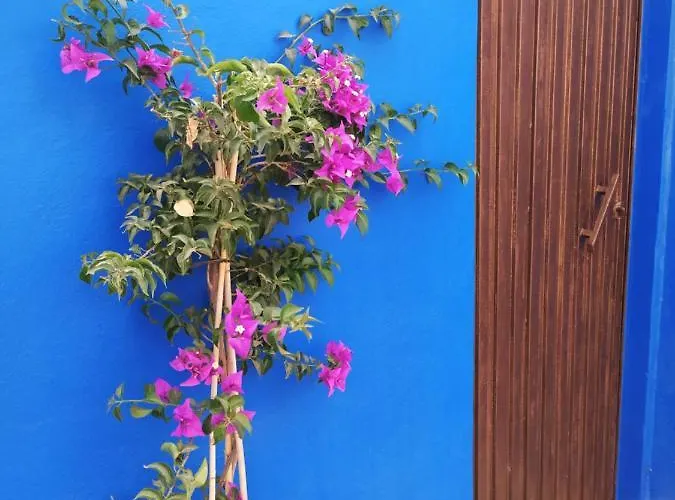 Apartament Hacienda La Extremena Güimar